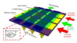 Organic Photodetector
