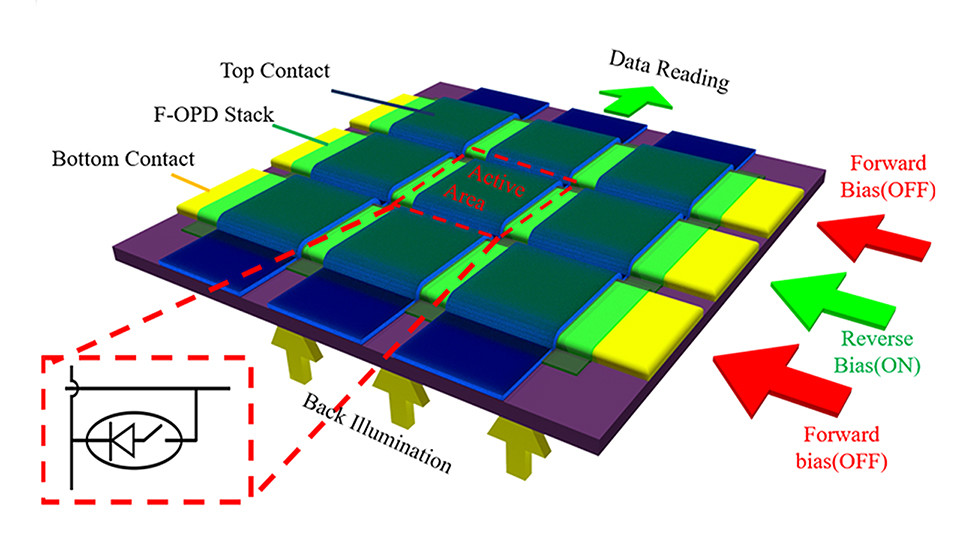 Organic Photodetector